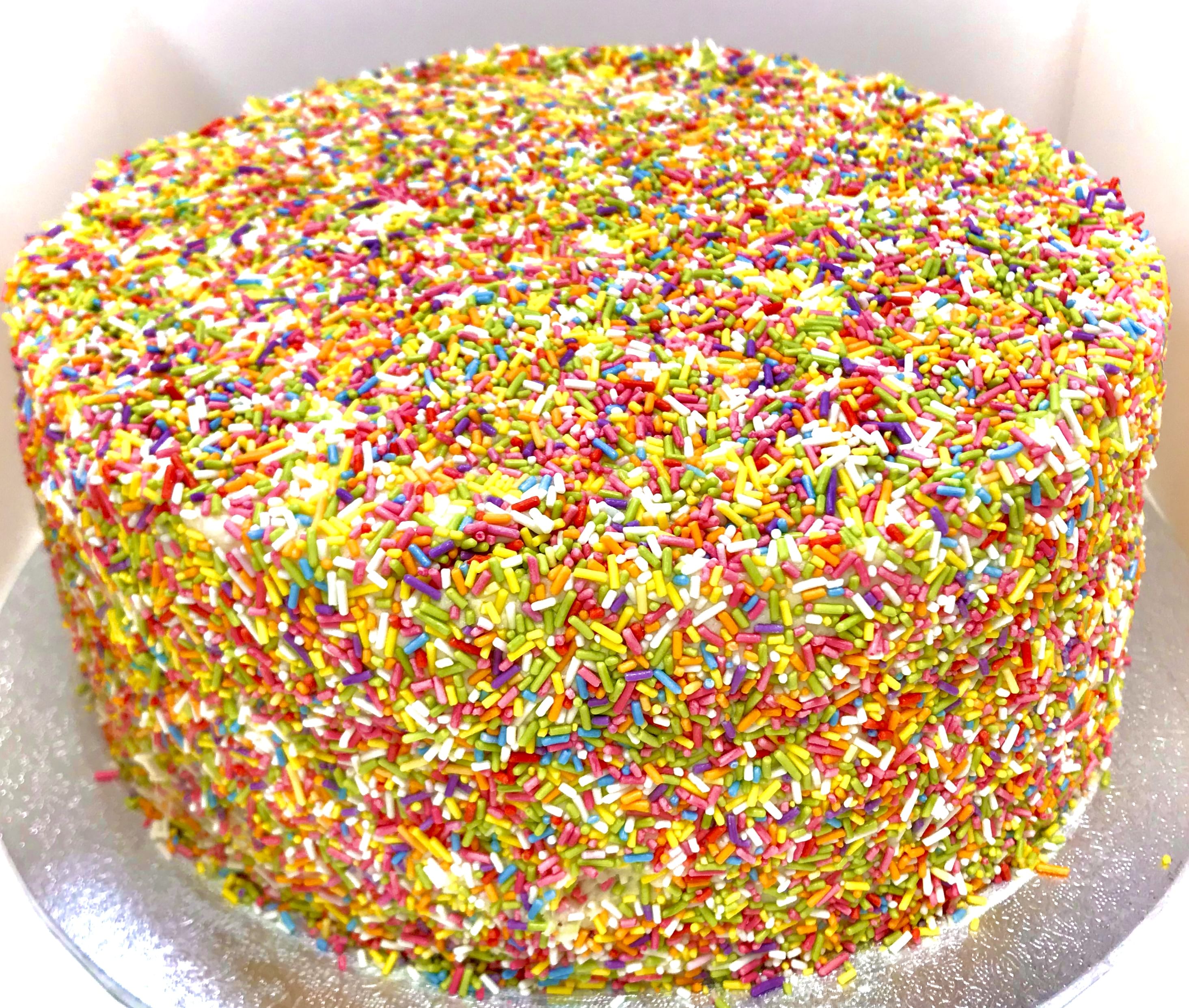 A round cake completely covered in colorful sprinkles, featuring a mix of red, yellow, green, blue, and white. The vibrant sprinkles create a lively and festive appearance. The cake sits on a flat surface against a plain background.